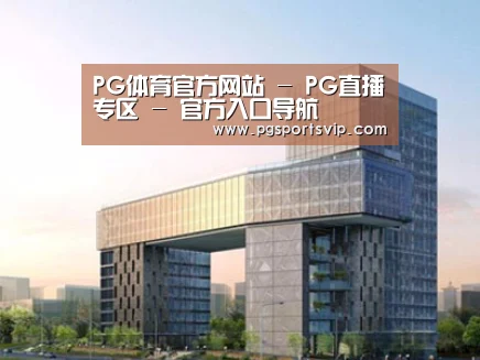案例展示四