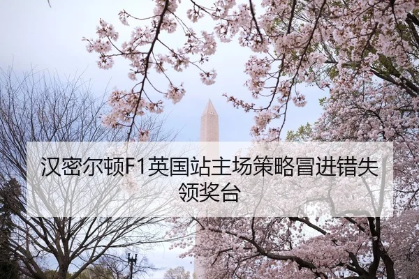 han-mi-er-dun-ying-guo-zhan-zhu-chang-ce-lve-mao-jin-cuo-shi-ling-jiang-tai-2-678.jpg