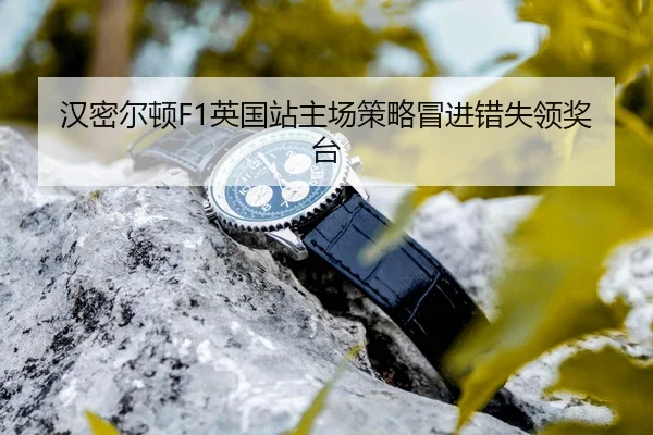 han-mi-er-dun-ying-guo-zhan-zhu-chang-ce-lve-mao-jin-cuo-shi-ling-jiang-tai-3-454.jpg