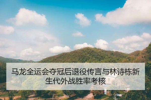 马龙全运会夺冠后退役传言与林诗栋新生代外战胜率考核