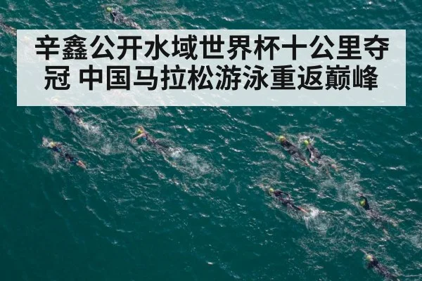 辛鑫公开水域世界杯十公里夺冠 中国马拉松游泳重返巅峰