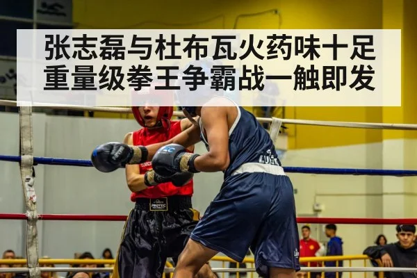 张志磊与杜布瓦火药味十足重量级拳王争霸战一触即发
