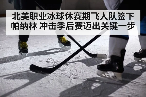 北美职业冰球休赛期飞人队签下帕纳林 冲击季后赛迈出关键一步