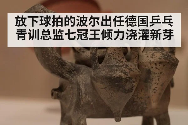 放下球拍的波尔出任德国乒乓青训总监七冠王倾力浇灌新芽